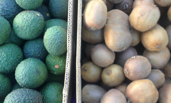 Santa Cruz Community Farmers' Market