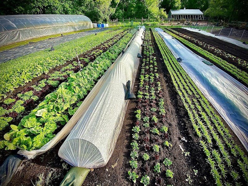 Jackson Food & Farm Market