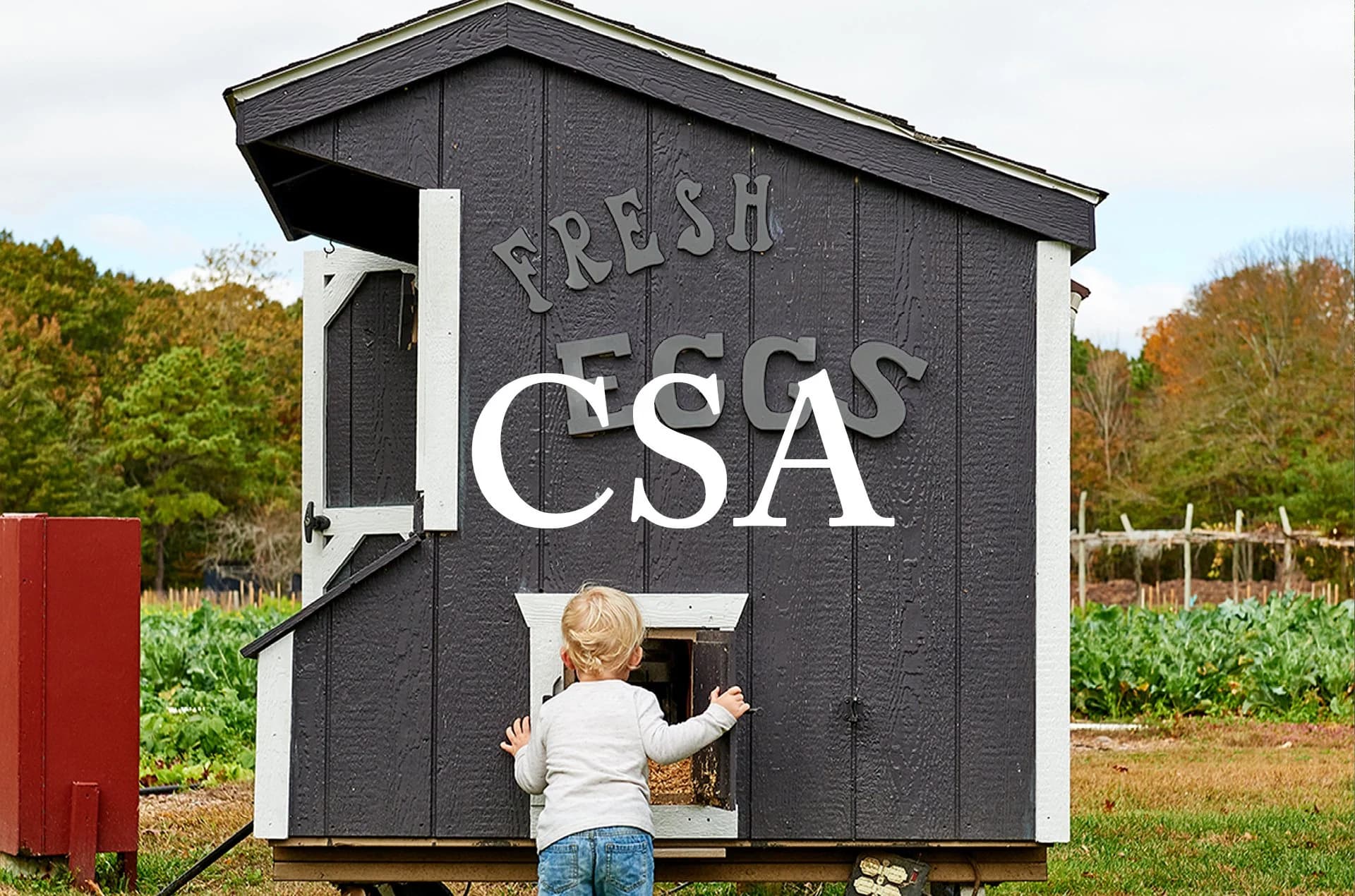 Mama Farm - B&B and Wedding Venue