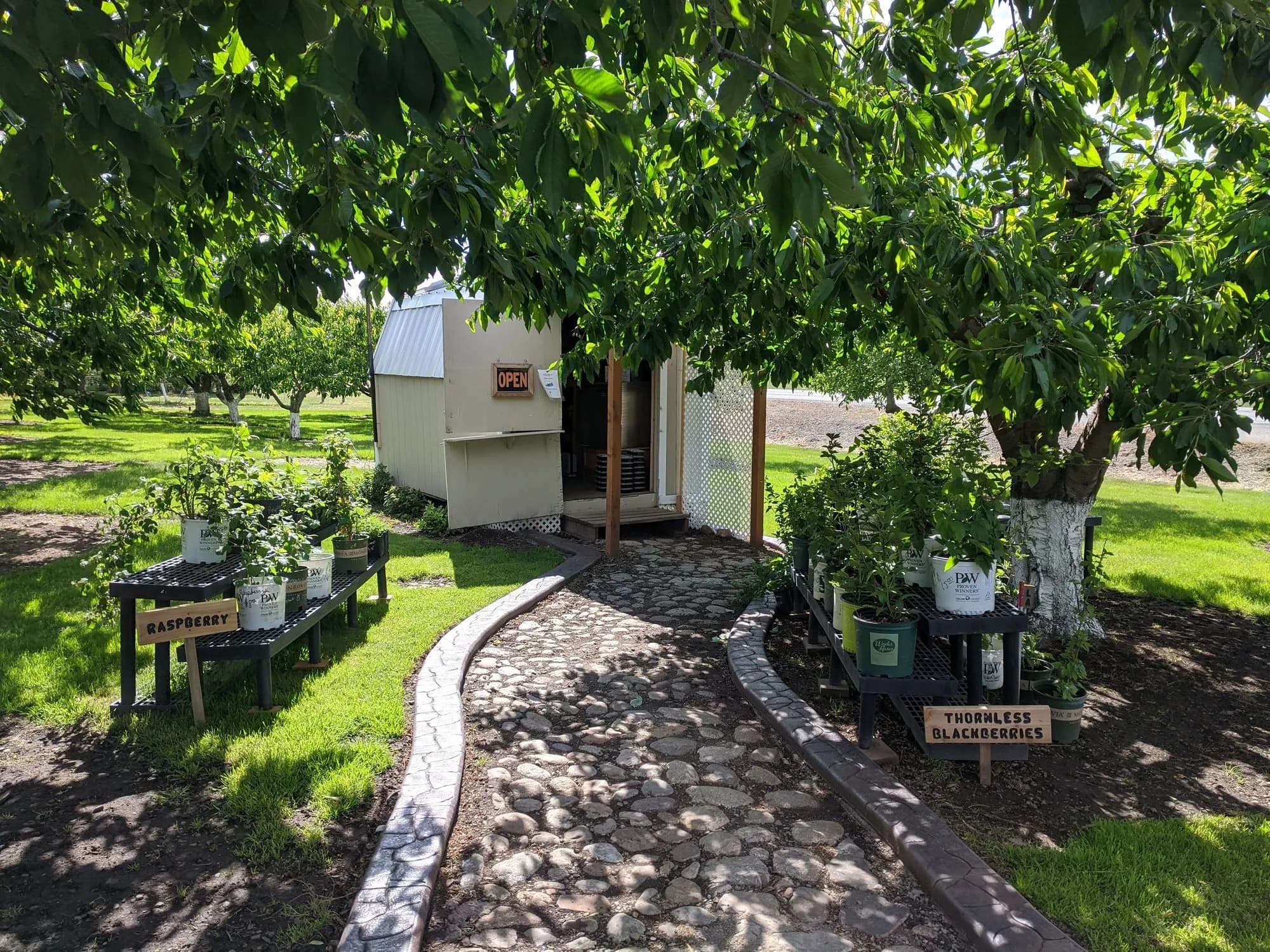 Culbreth's Berry and Nut Farm