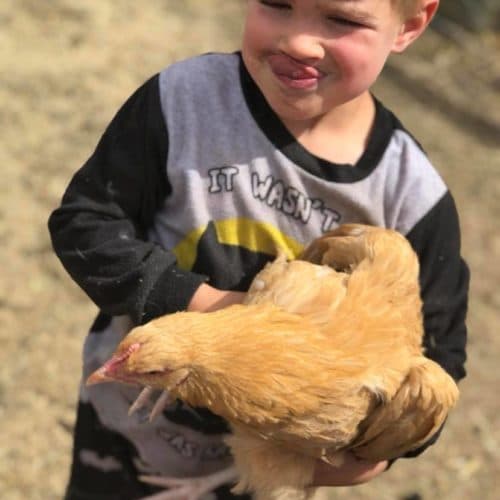 Shag Valley Farm Wellness & Retreats and Nourishing Modern Families