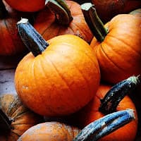 Jackson's Pumpkin Farm