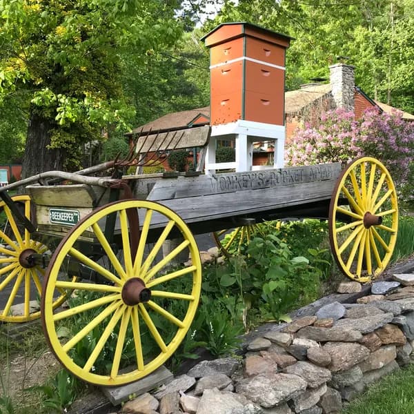 Monkey's Pocket Apiary