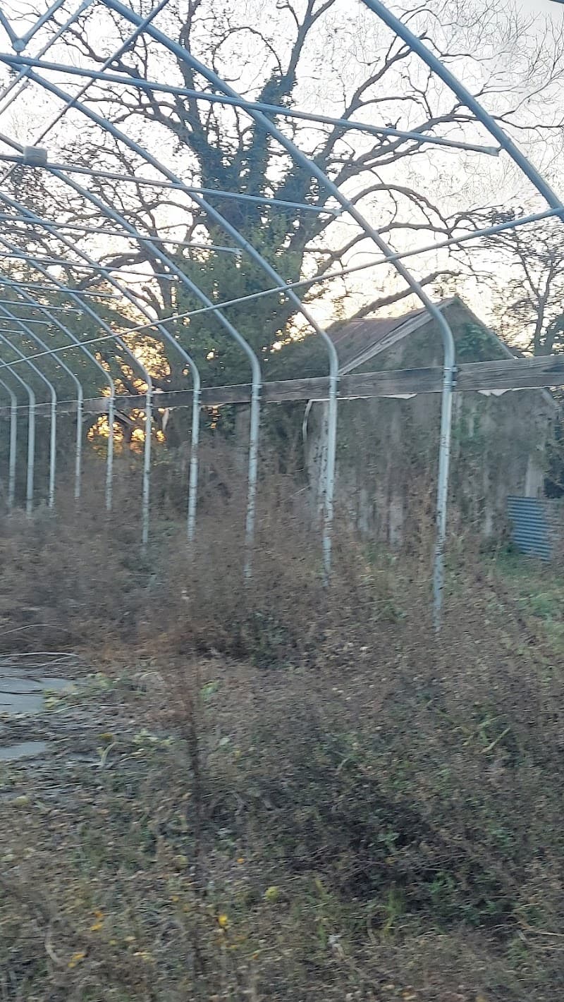 Johnson's Backyard Garden