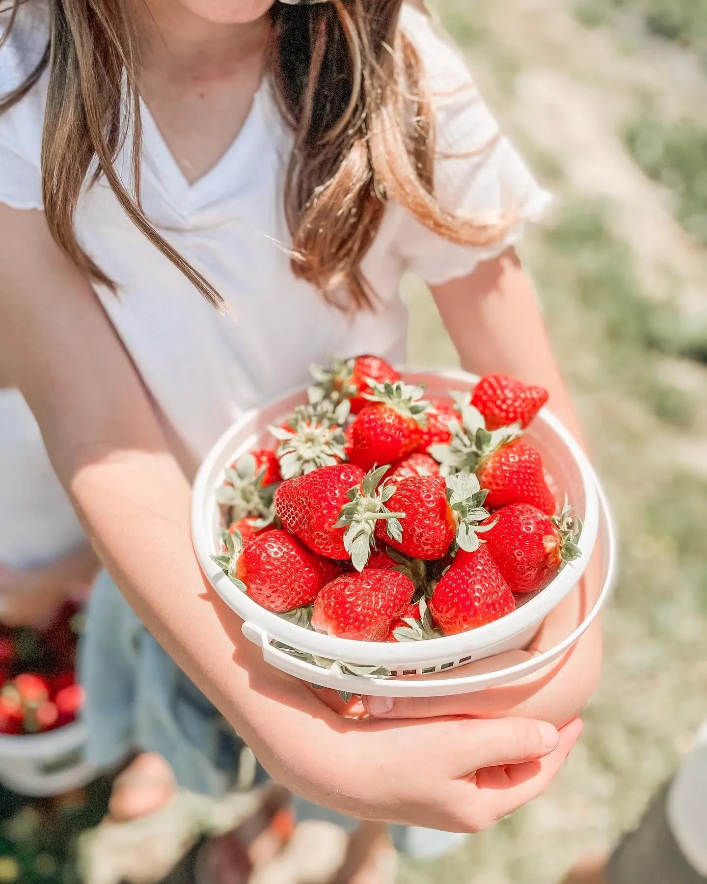 Sugar Hill U-Pick Farms