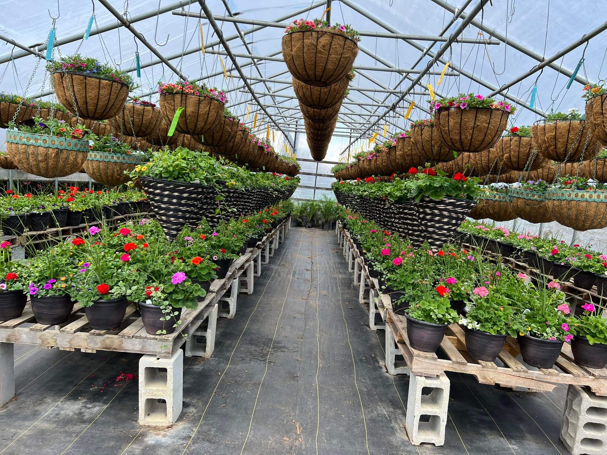 M & D Farms And Garden Center