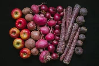 Yellowbird Foodshed, LLC