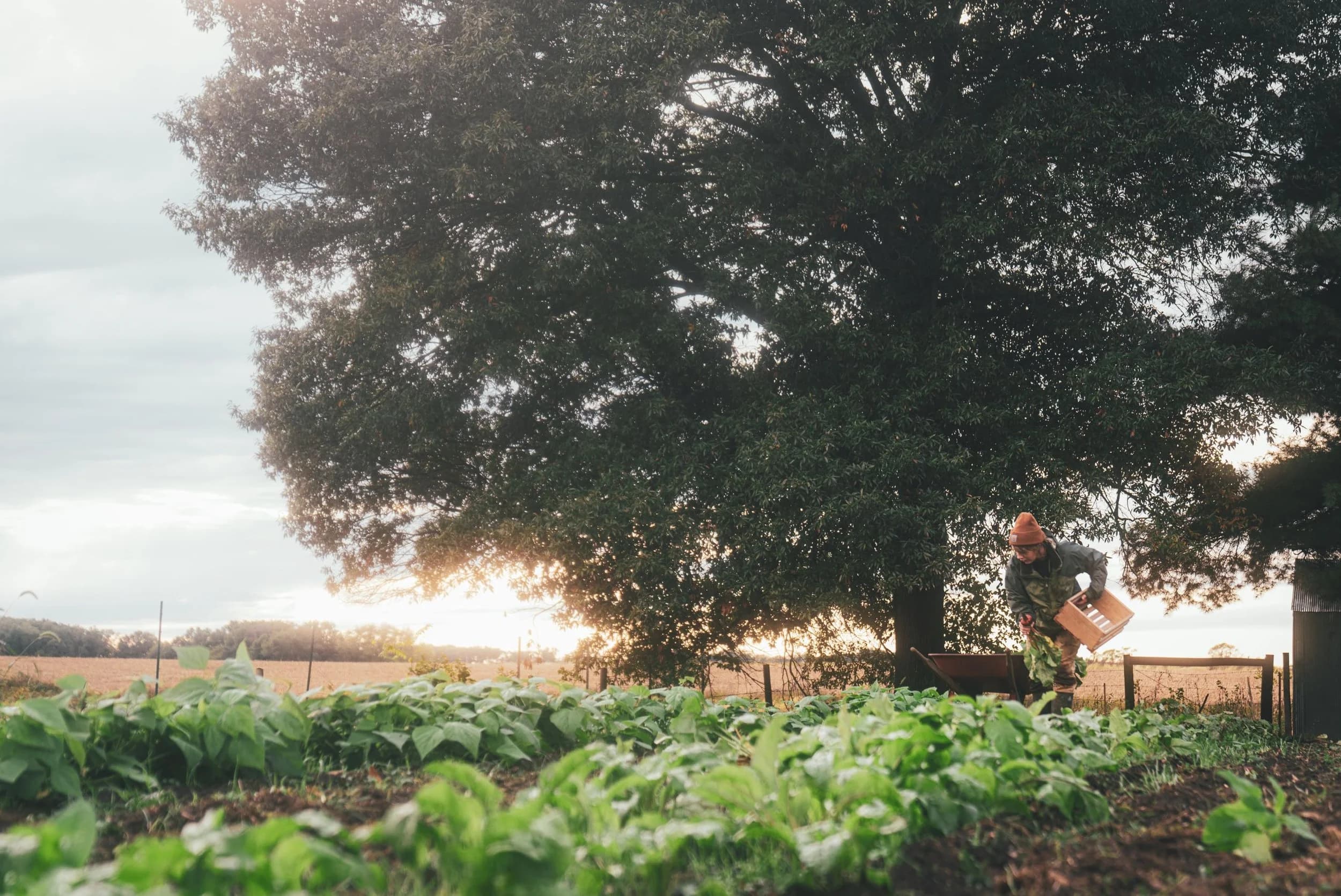 Enchanting Acres Farm