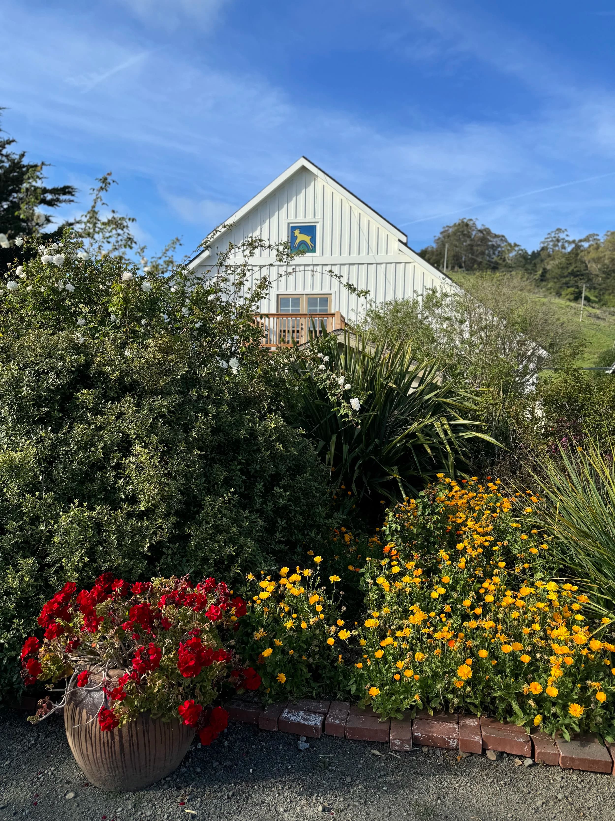 Harley Farms Goat Dairy