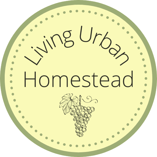 Living Urban Homestead