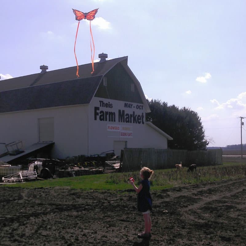 Theis Farm Market and Greenhouse