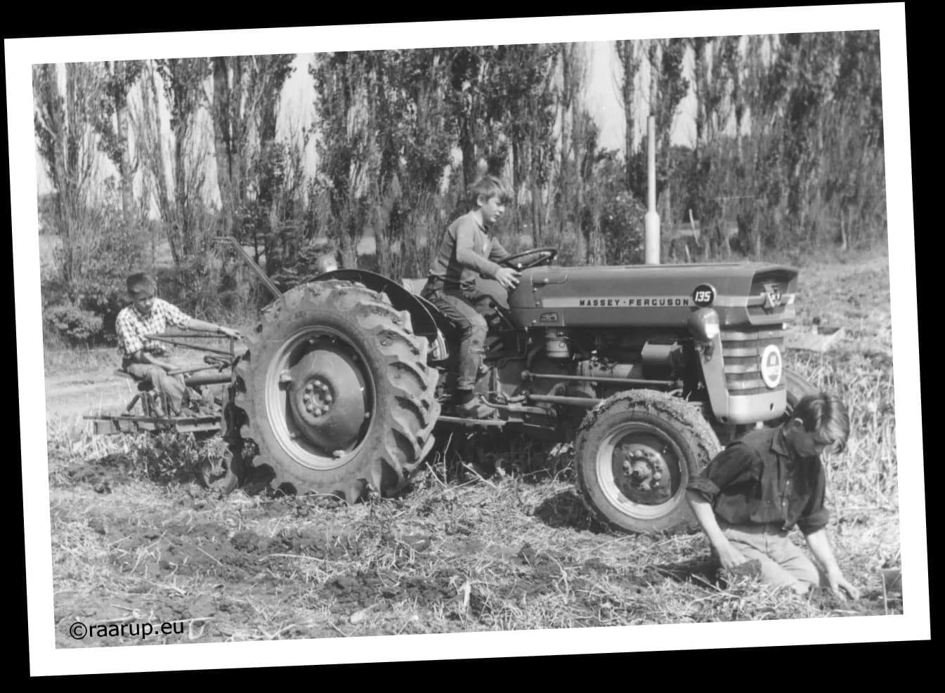 Chico Farm & Orchard