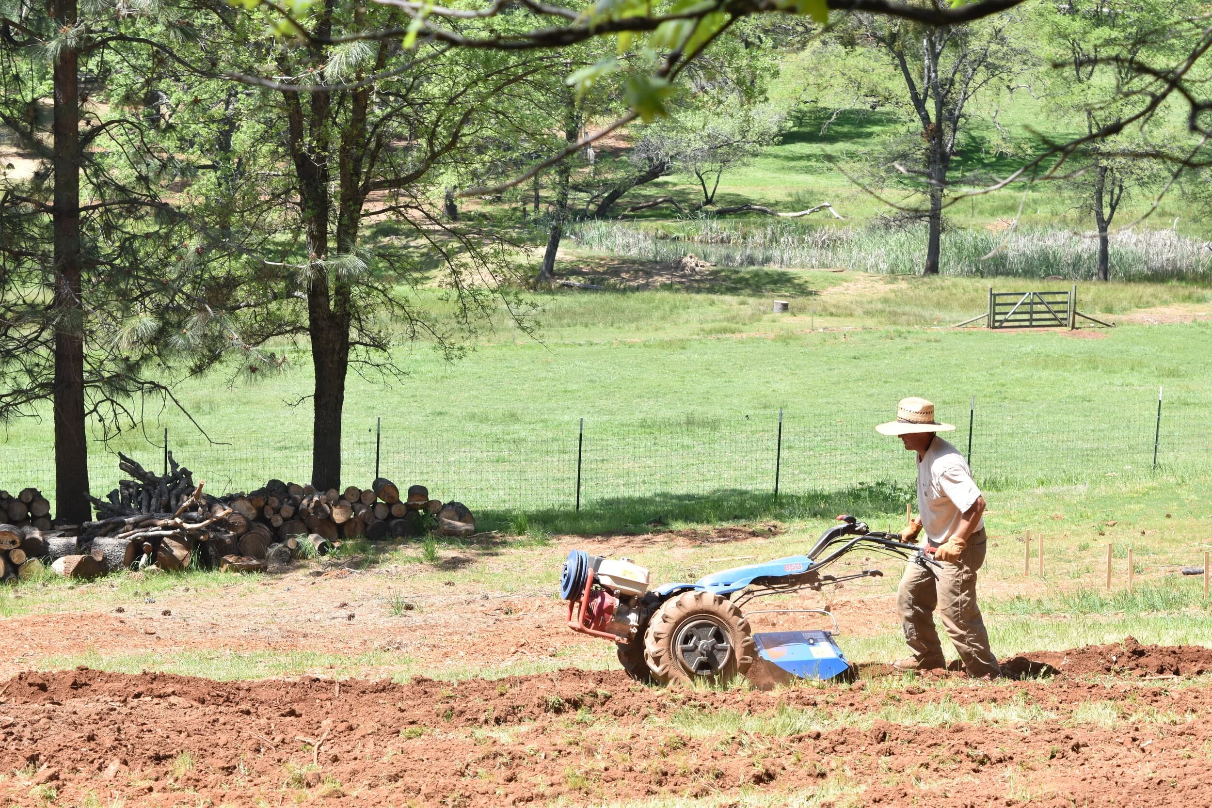 Starbright Acres Family Farm