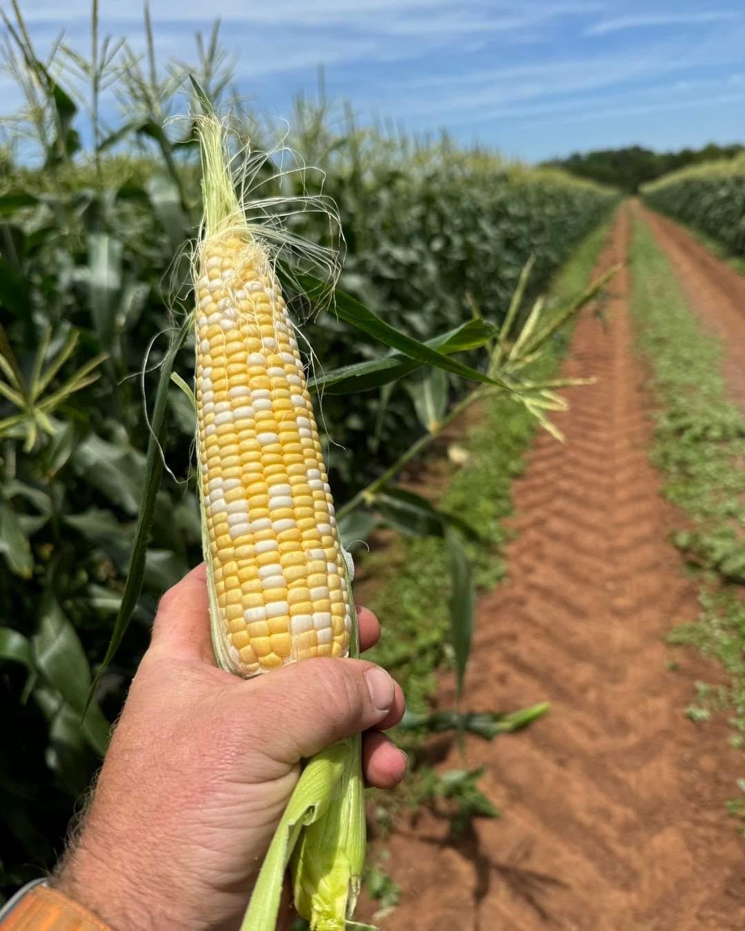 T & A Barbee Family Farm LLC