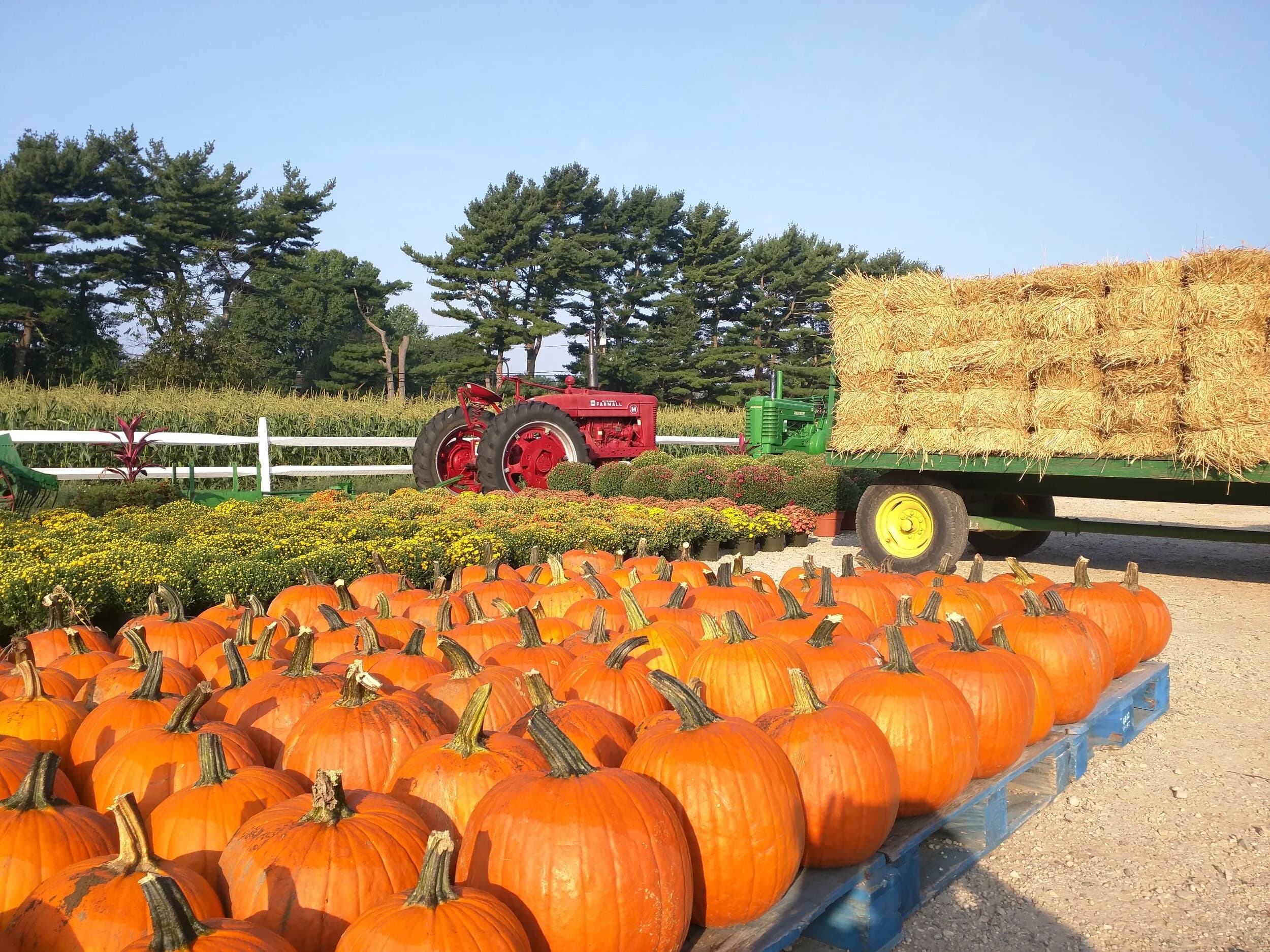MEYERβS FARM & GREENHOUSES