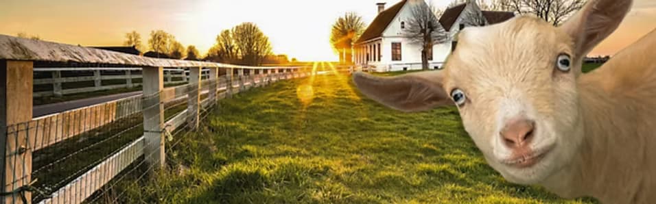 Spring Haven Farm LLC