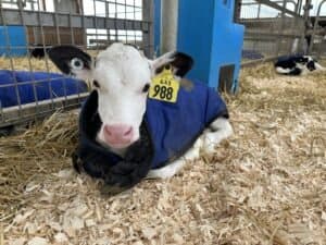 Barstow's Dairy Store and Bakery at Barstow's Longview Farm