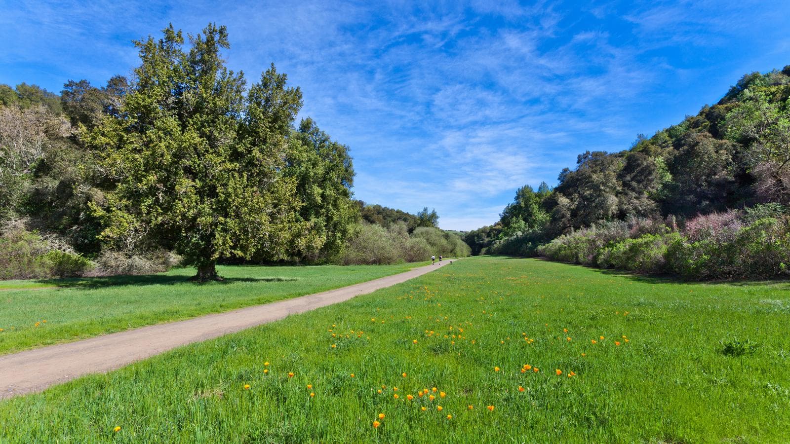 Rancho San Antonio County Park & Open Space Preserve