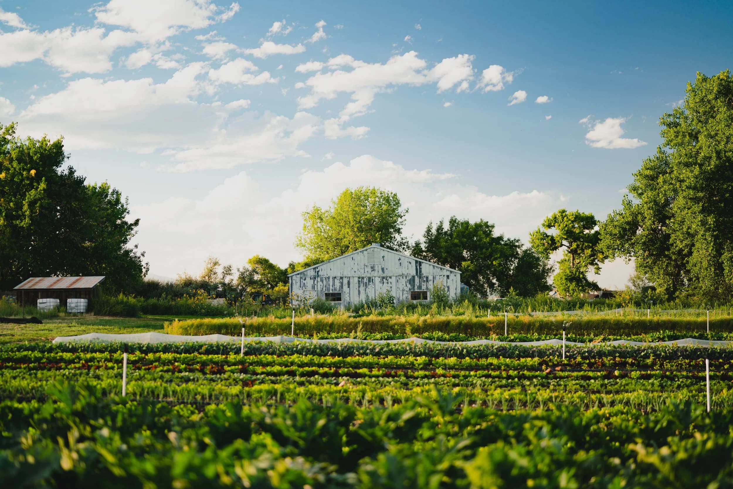 Speedwell Farm & Gardens