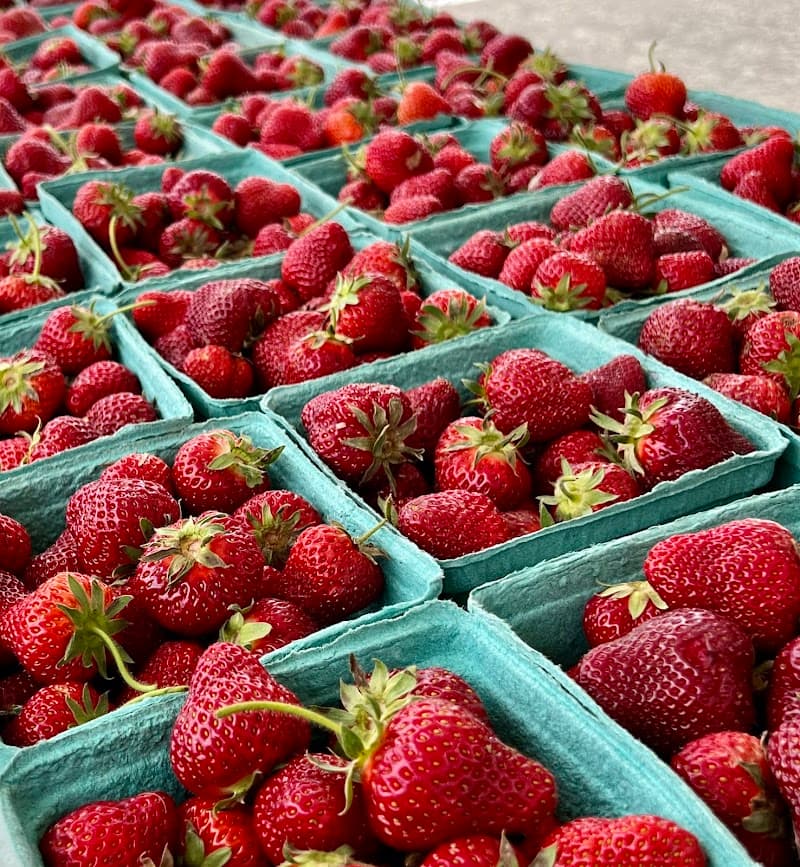 Boone County Farmers Market