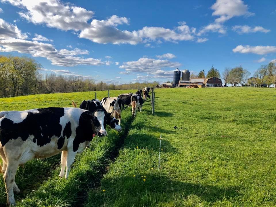 Cooper's Hilltop Farm