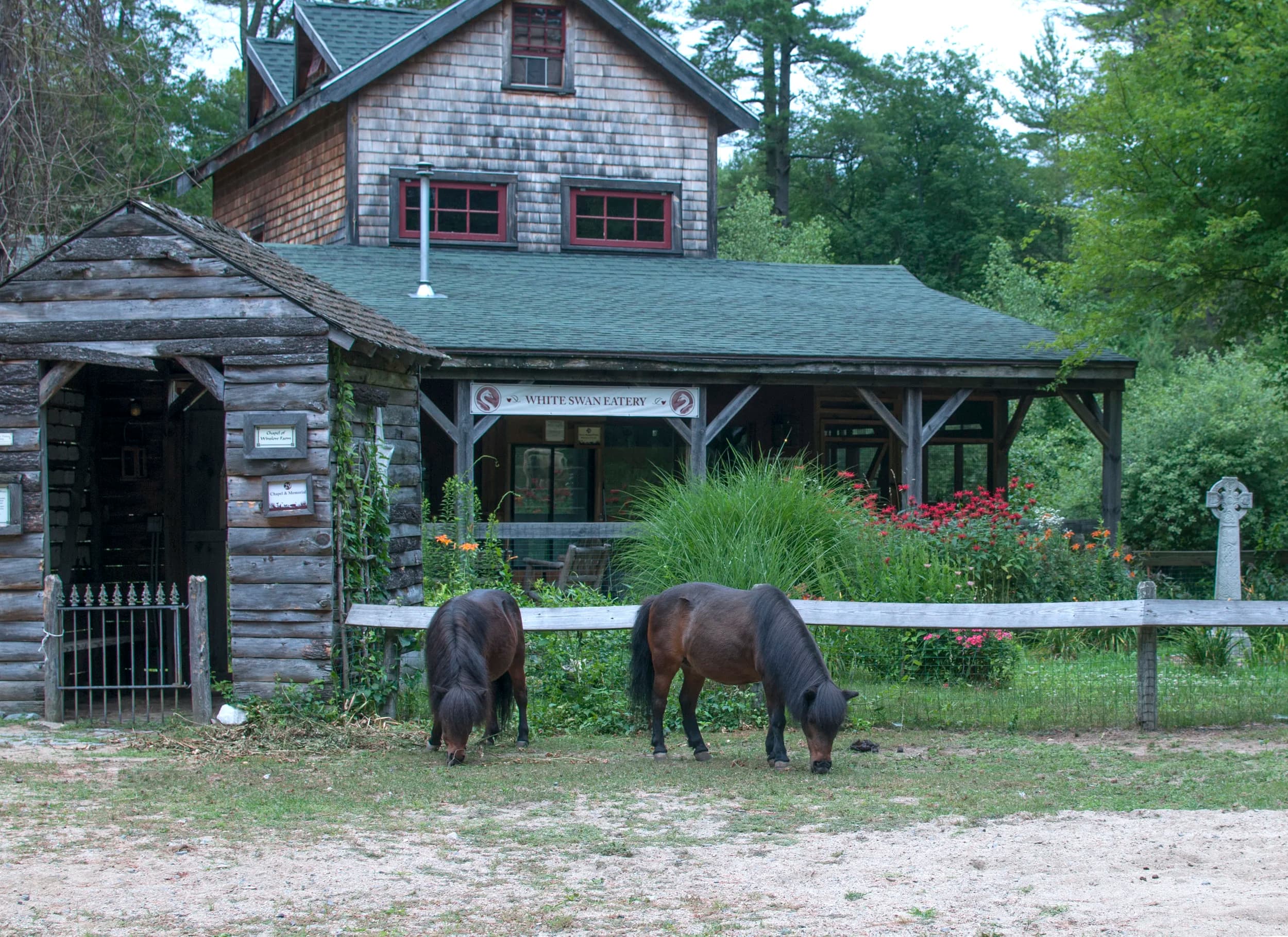 Winslow Farm Animal Sanctuary