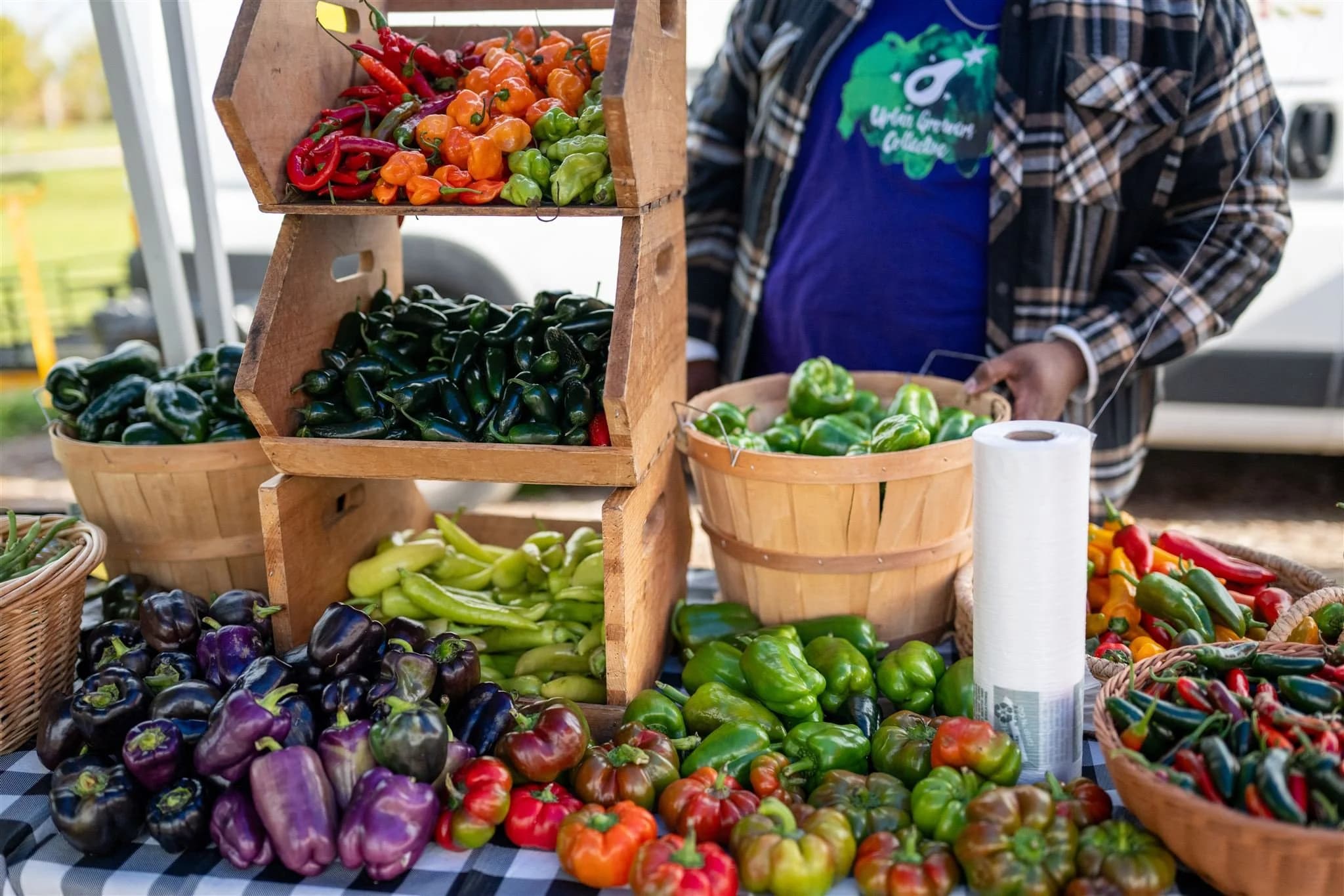South Chicago Farm, Urban Growers Collective