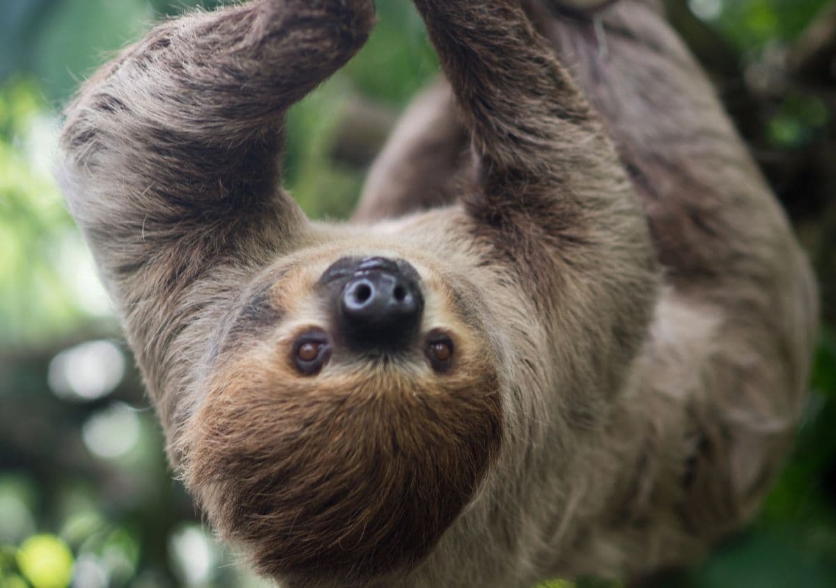 Lucky Ladd Farms - Farm Park & Zoo