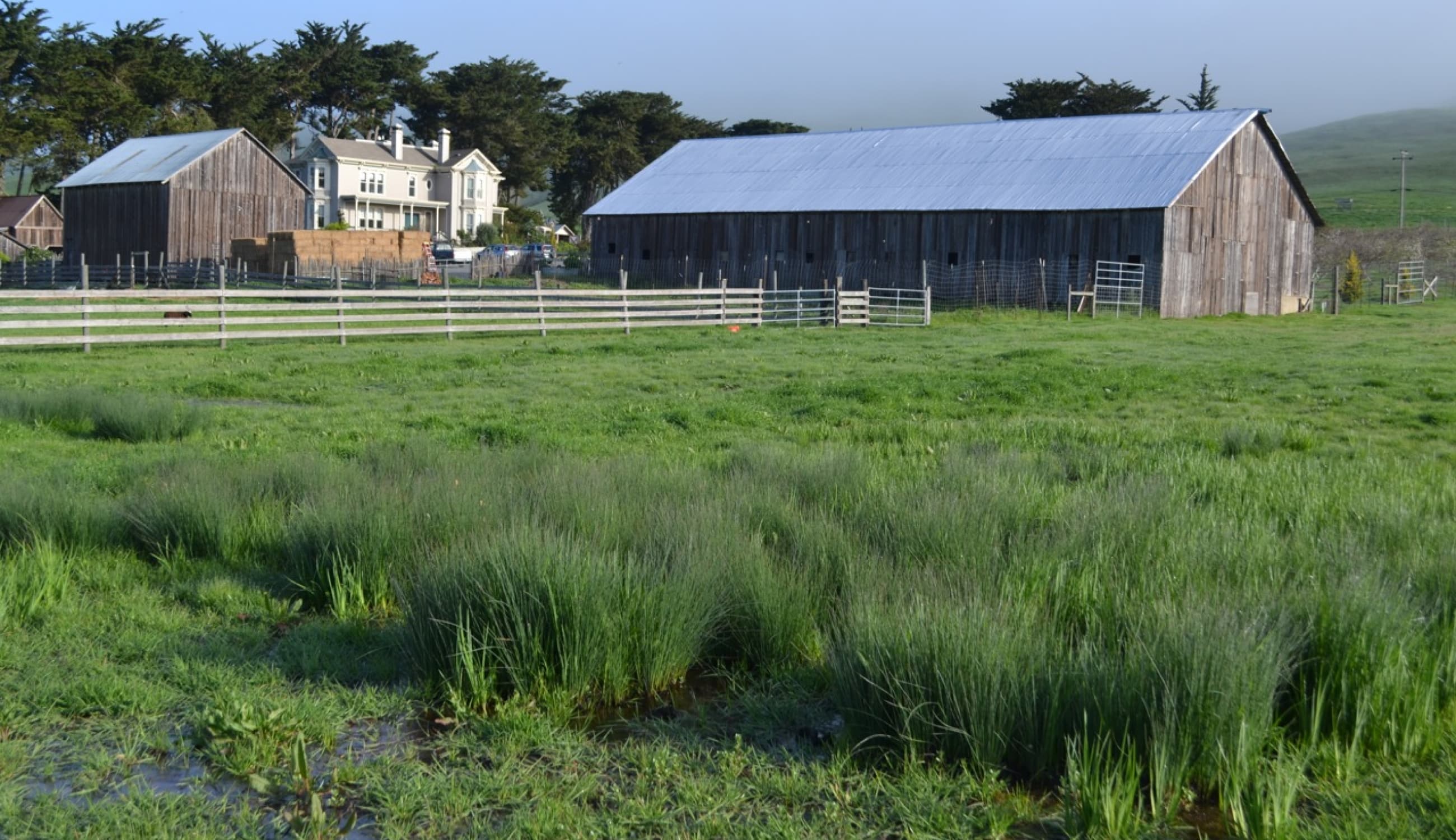 Chileno Valley Ranch