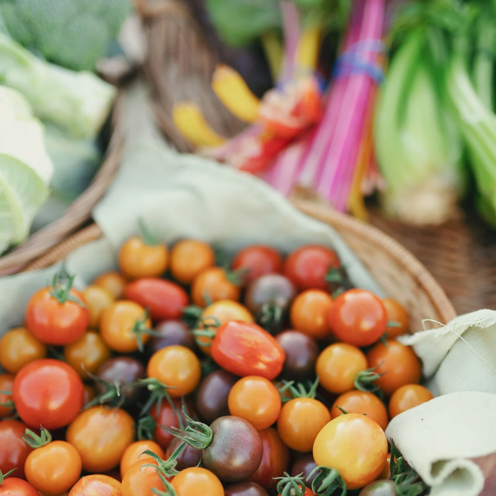 Red Door Family Farm