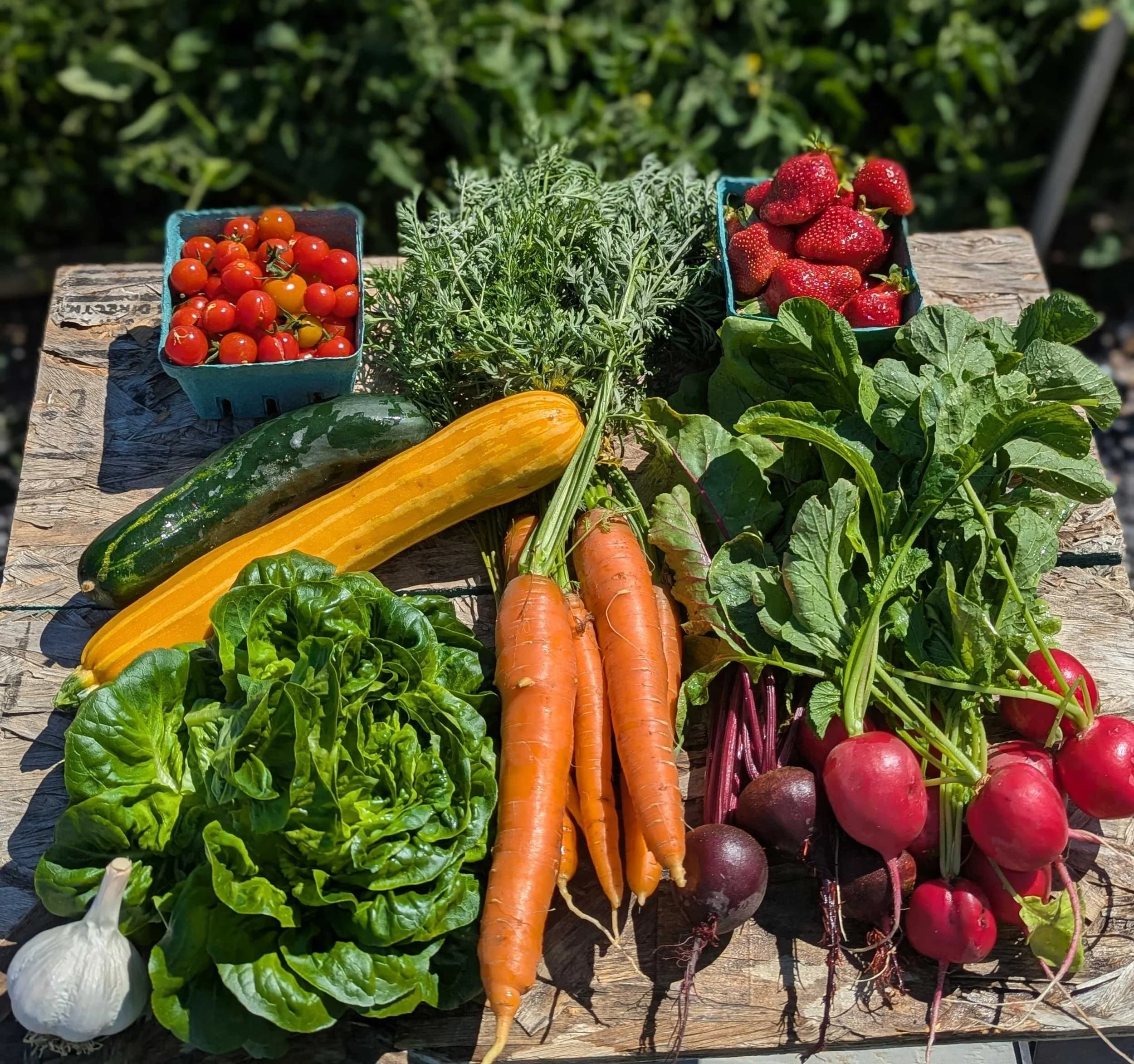 Around The Bend Farms