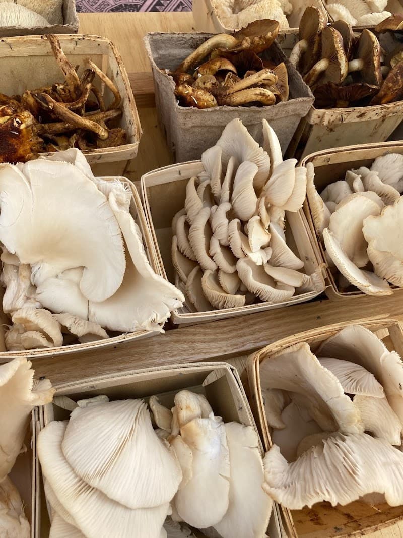 Clarksville Commons Farmers Market