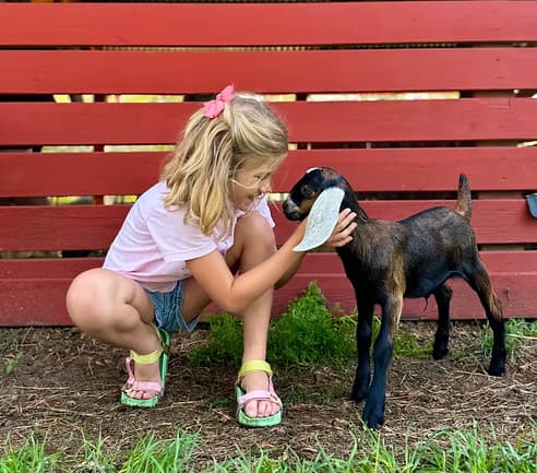 The Goatery at Kiawah River