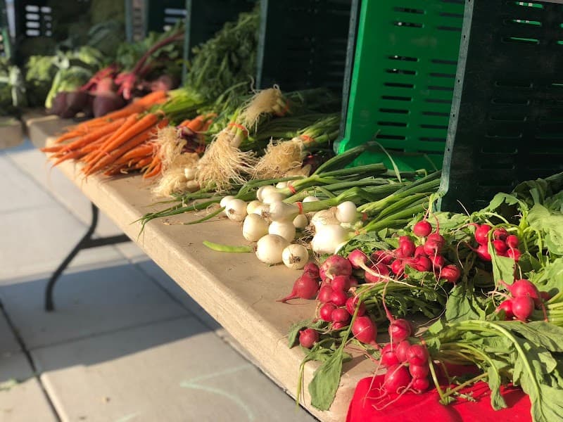 East Boston Farmers On-line Market - Winter/Spring