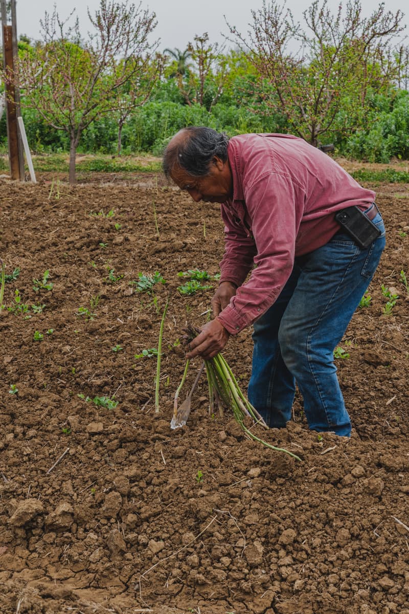 Berry Best Family Farm
