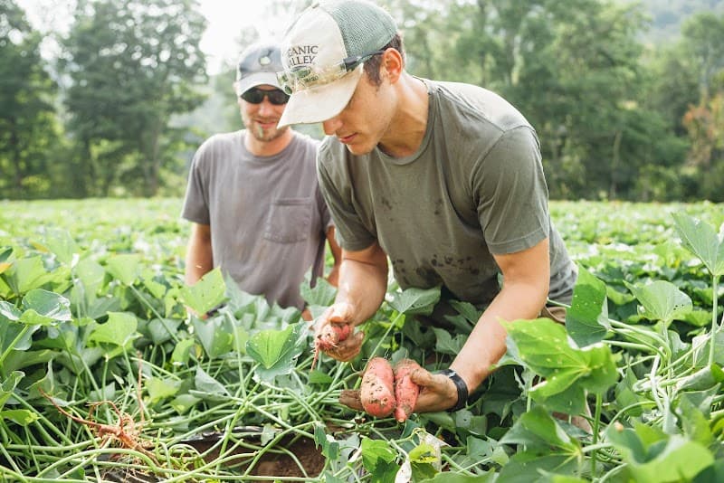 The Intervale Food Hub