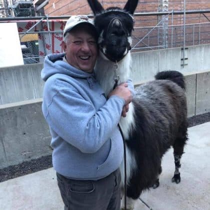 Carlson's Llovable Llamas