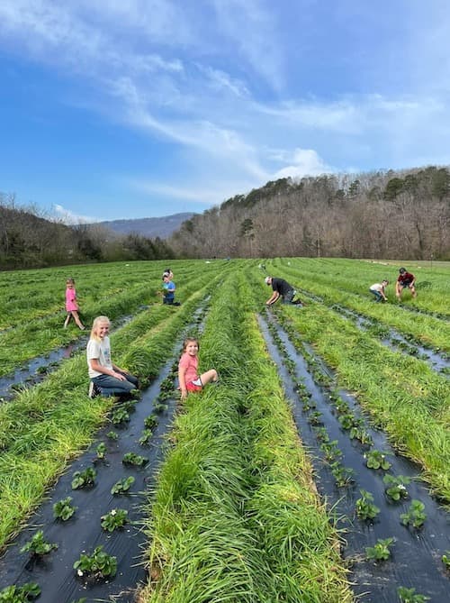 Hughes Farmers Market And Garden Center