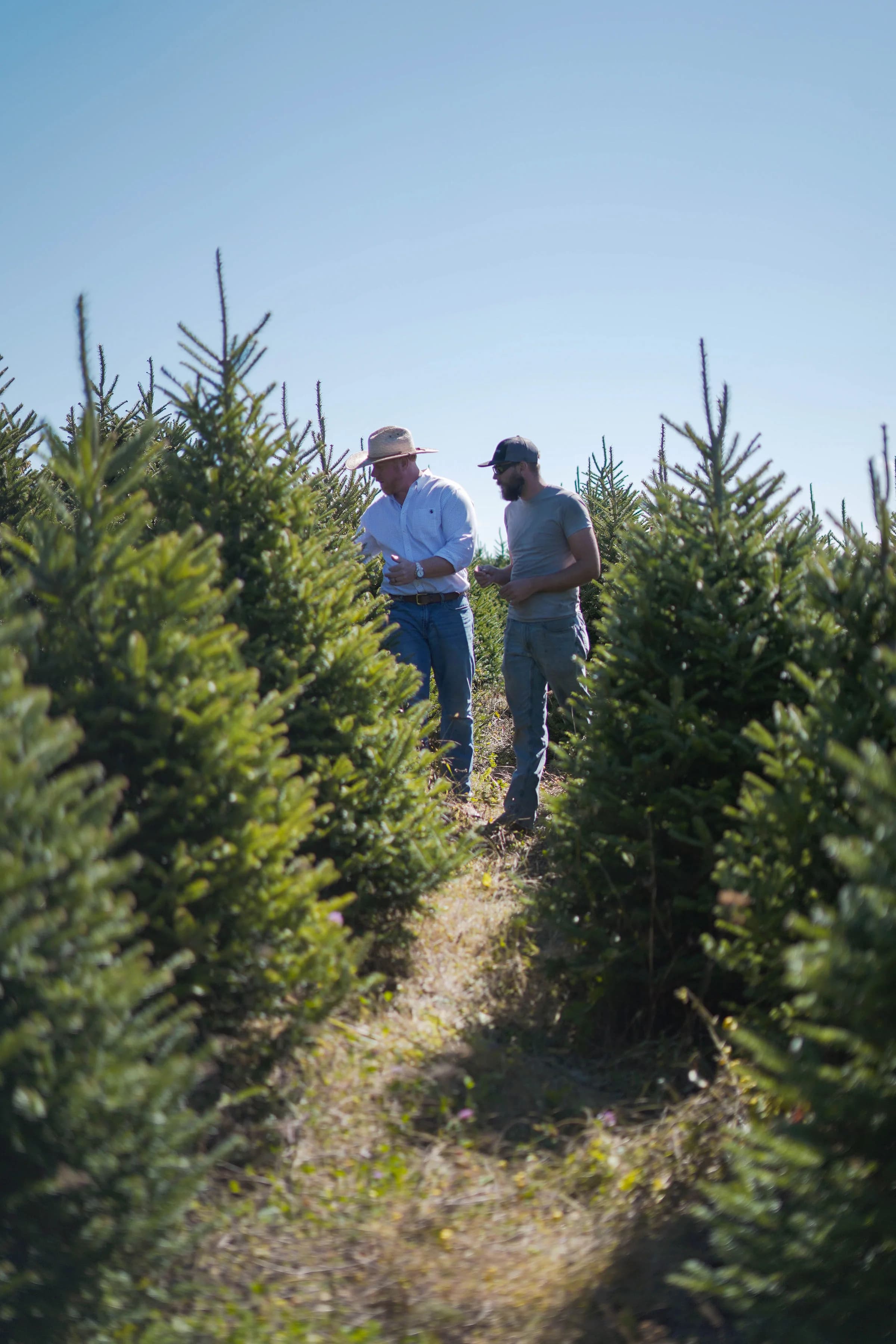Hayes Farms - Delray Beach