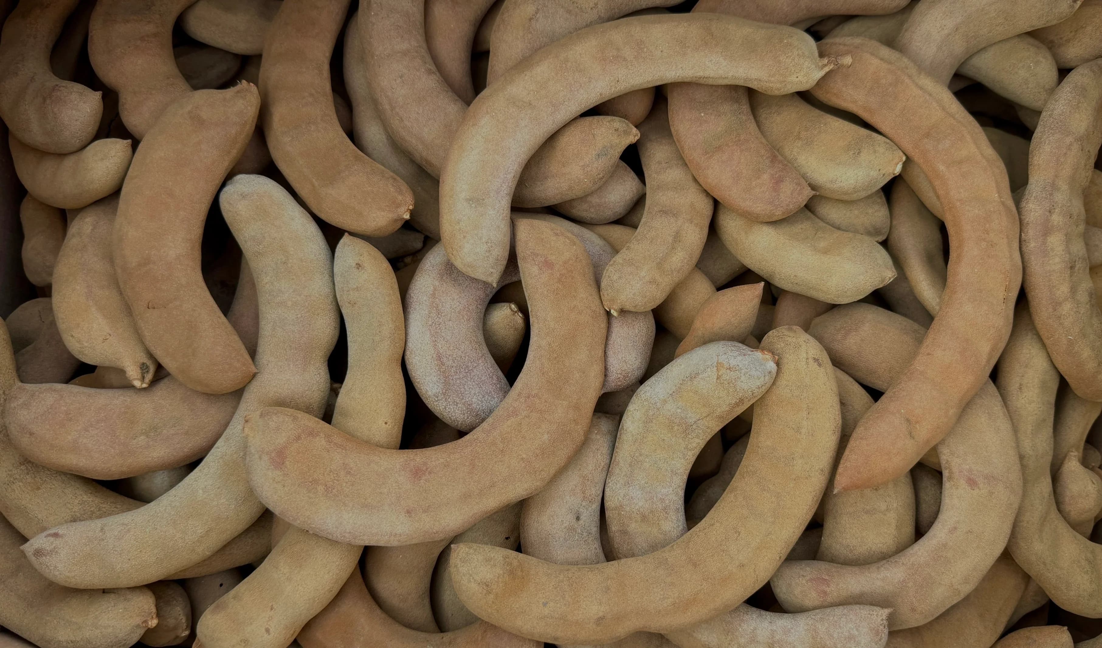 San Jose Produce & Imports LLC