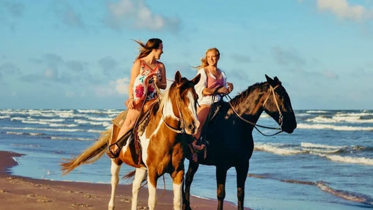 Horses on the Beach