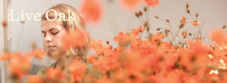 Live Oak Farmer's Market