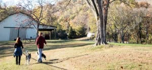 Maples Farm Fresh Eggs