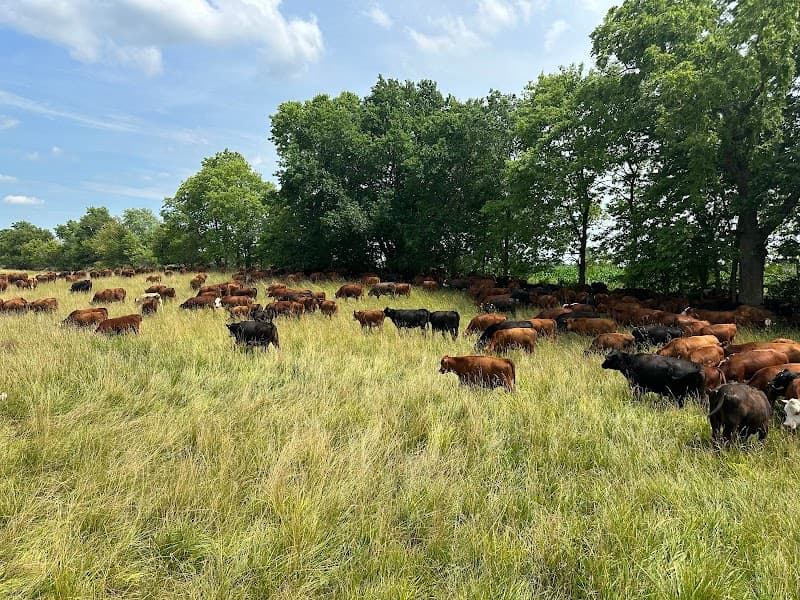 Farm to Fork Farmers Market at Normandy Farms