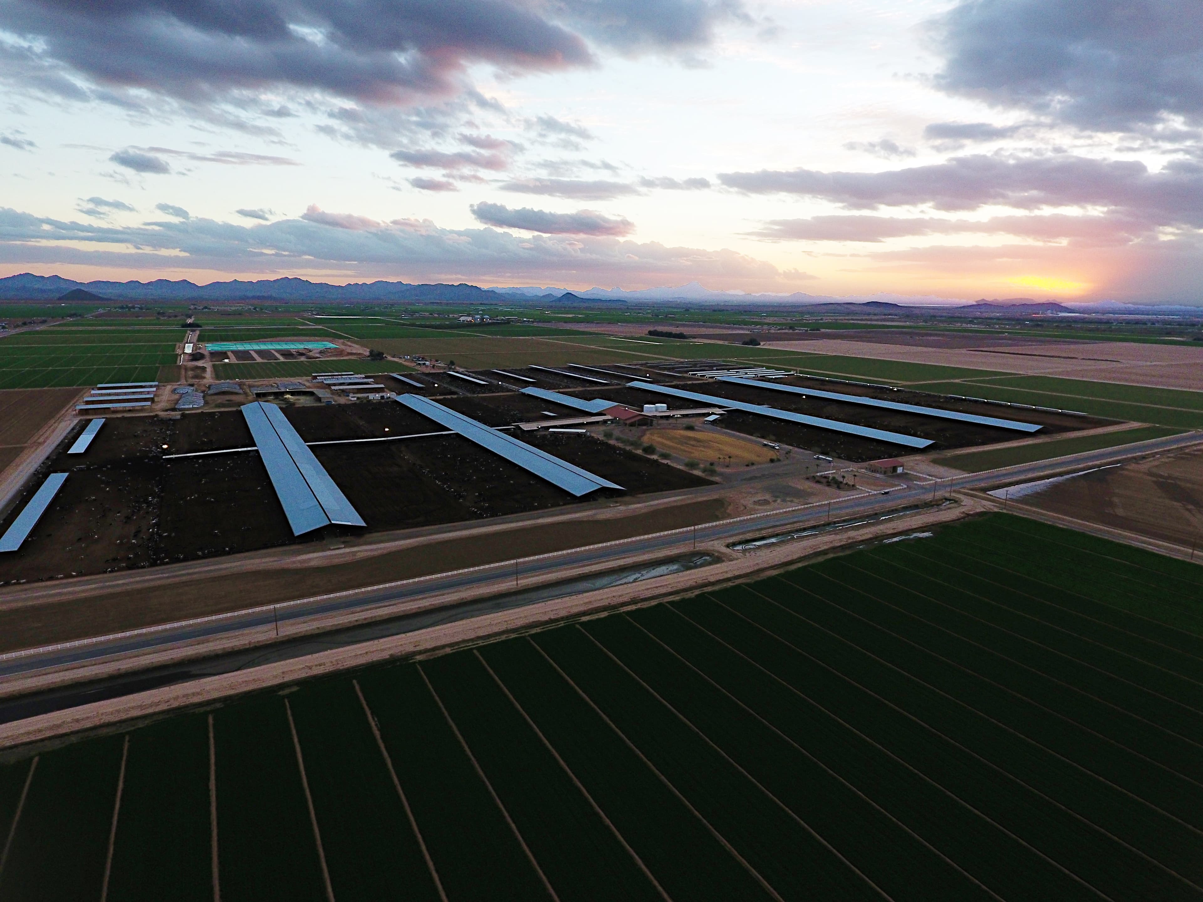 Stotz Dairy Southern