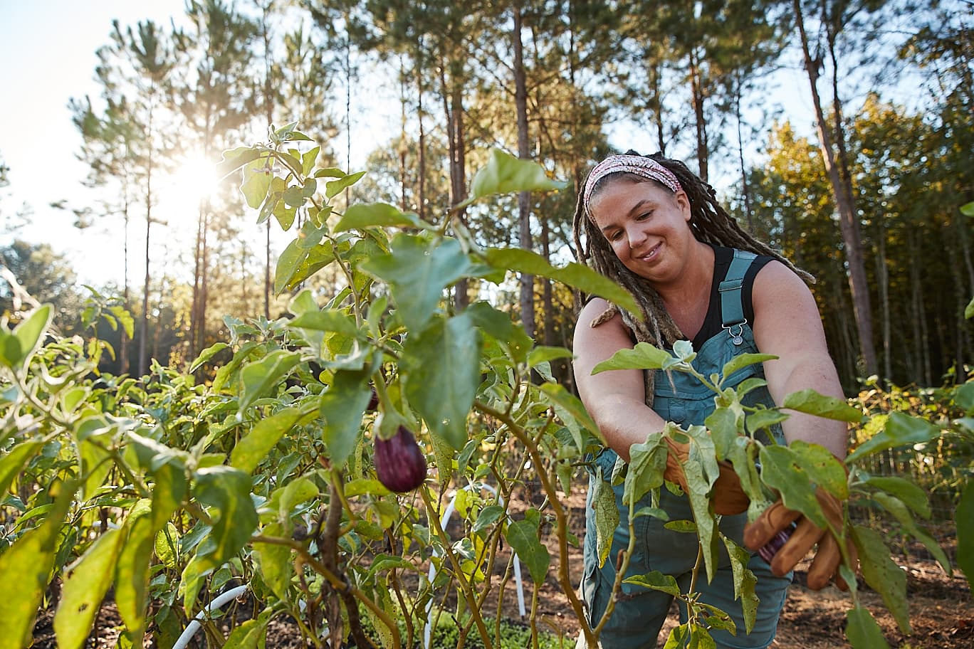 Whippoorwill Farms SC