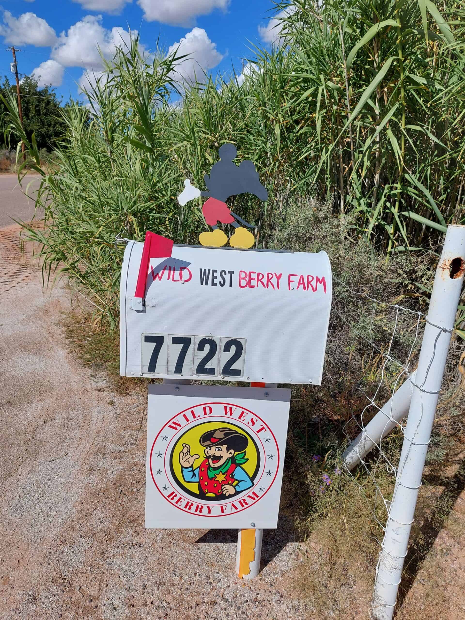 Wild West Berry Farm