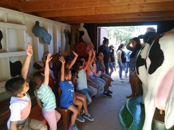 Tucson Village Farm 4-H Healthy Living Center