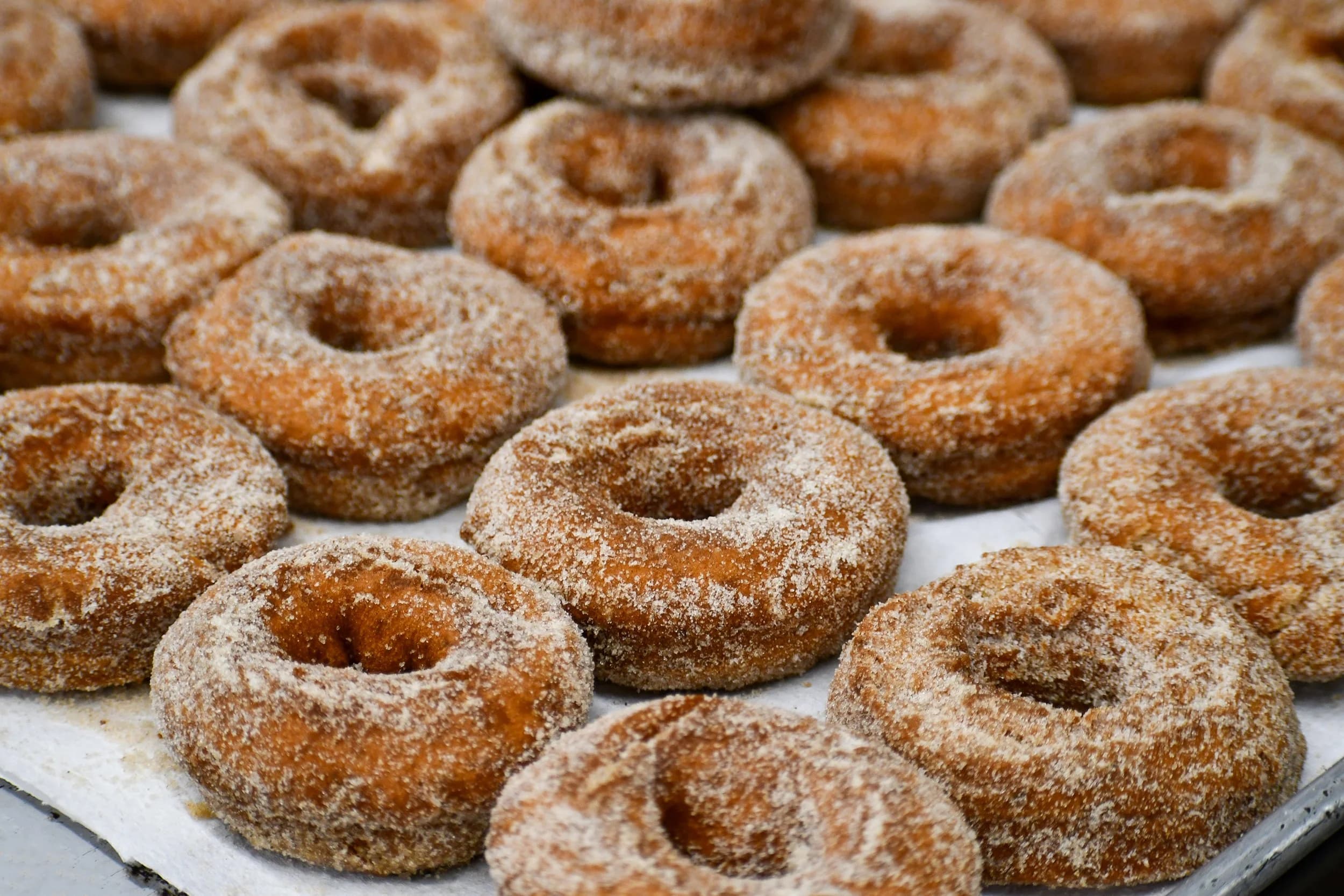 Red Apple Farm @ Boston Public Market