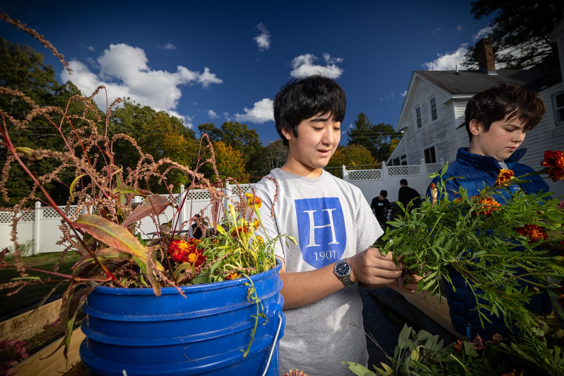 Hillside School Farm and Garden